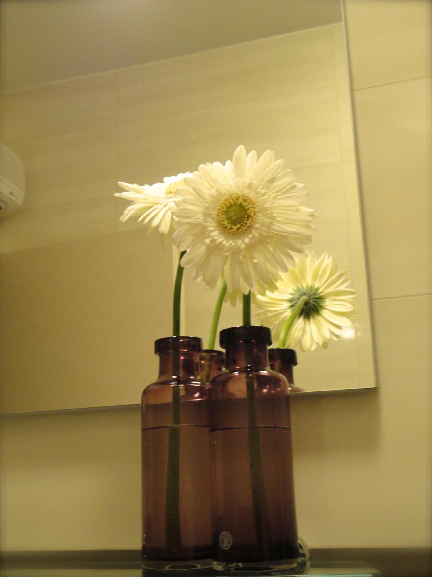 Dubrovnik Sunrise Apartment Ruang foto
